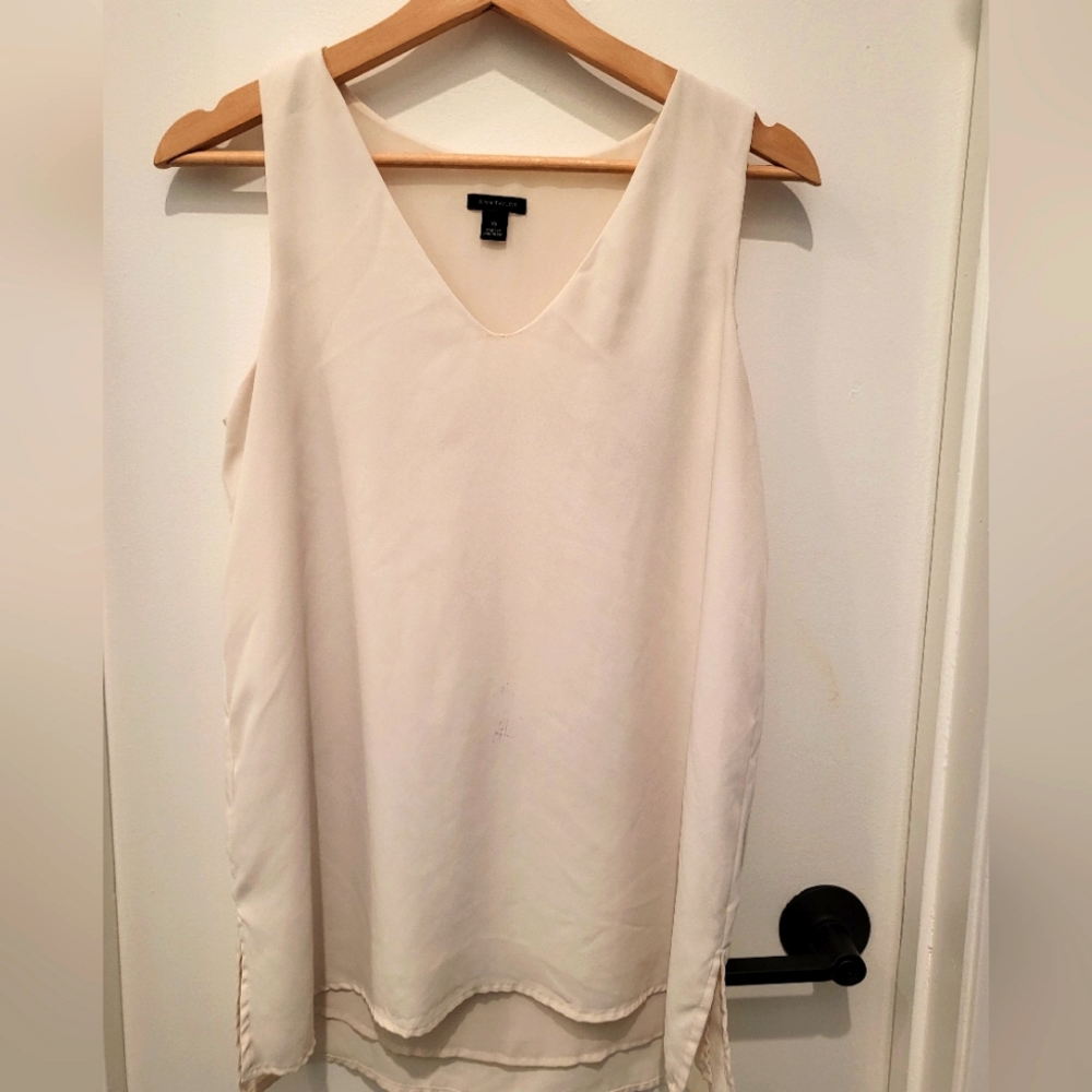 Ann Taylor Beige Top